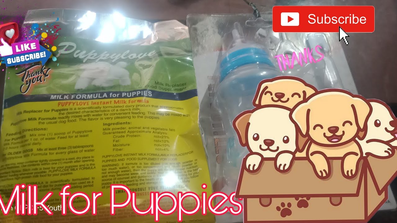 Best Milk for New Born Puppies YouTube