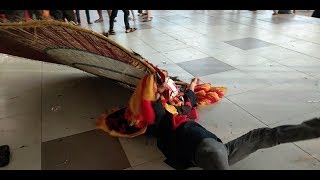 Unboxing'tutorial atraksi angkat dadak merak'REOG'