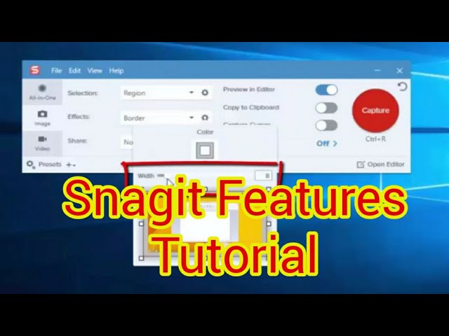 Snagit: Capturing video, images, and voice over 