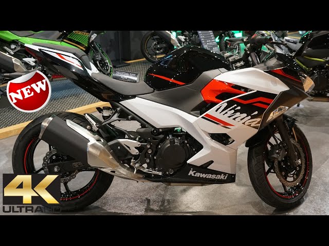 Kawasaki Ninja250 2020年モデル　ABS付 ニンジャ 250 ABS/カワサキの新車・中古バイクを探すなら｜ウェビック
