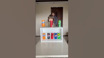 who will be the first to place it correctly? #boardgames #games #100k #familytime #funny #challenge