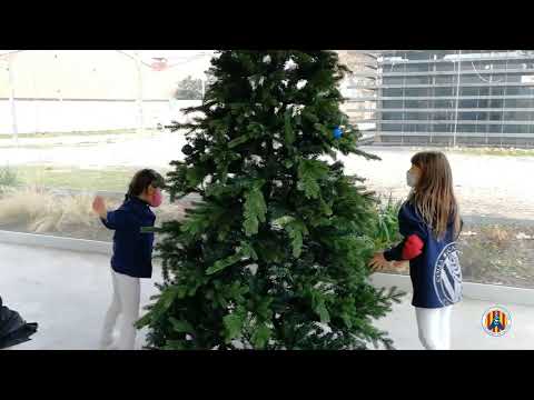 Vídeo: Decorem L’arbre De Nadal. Quin Estil Preferiu?