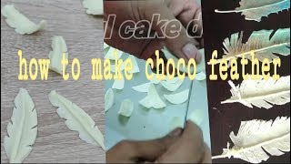 Chocolate feather/paul cake design