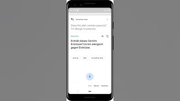 Google Assistant