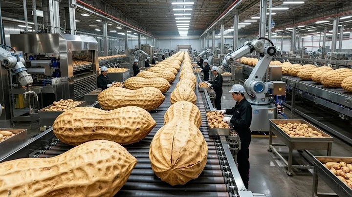 Inside a Planters Peanut Factory — How Raw Groundnuts Turn Into Roasted Peanuts