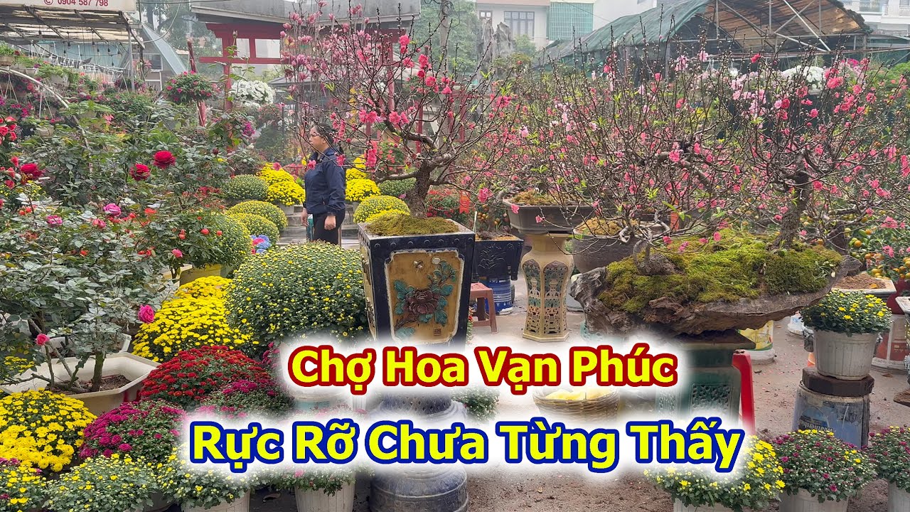 Chợ Hoa Vạn Phúc Rực Rỡ Chưa từng Thấy