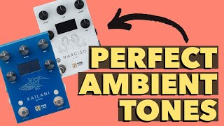 VTR Effects Kailani Reverb, Narciso Delay, and Helios Overdrive (Featuring Aluminati Orion Baritone)