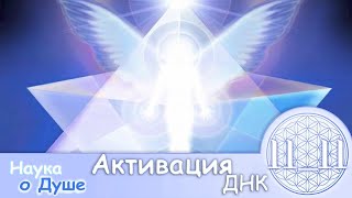 Наука о Душе 11_11 ~ Активация ДНК ~ Spirit Science 11_11