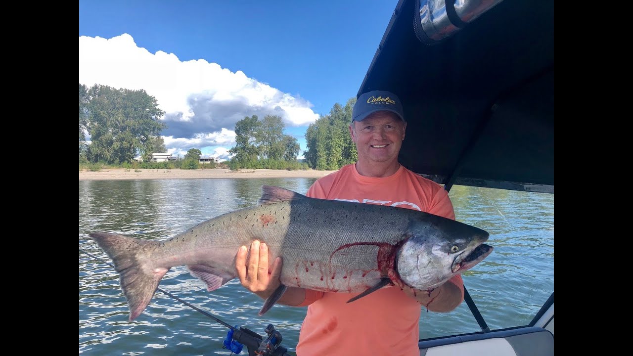 Salmon fishing Columbia river 2021 HD 1080p YouTube