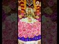 Balkampet Yellamma Thalli #Renuka Yellamma Thalli #shortsfeeds #viralvideo #ytshorts #trendingshorts