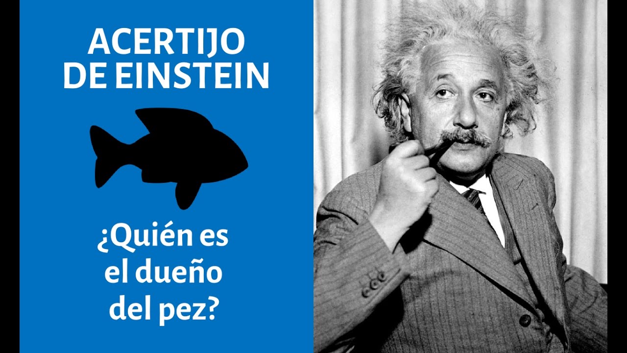 El acertijo de Einstein: Acertijos, paradojas y enigmas para exprimir su  mente