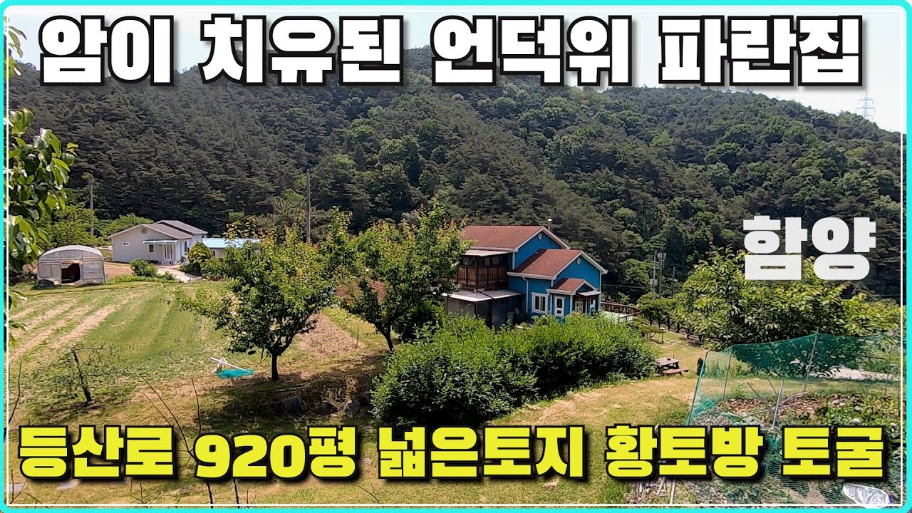 암을 치유할수 있었던 언덕위 파란집 920평 넓은 토지 황토방 토굴  연못 집주위 등산로 경남 함양군 수동면 전원주택 매매
