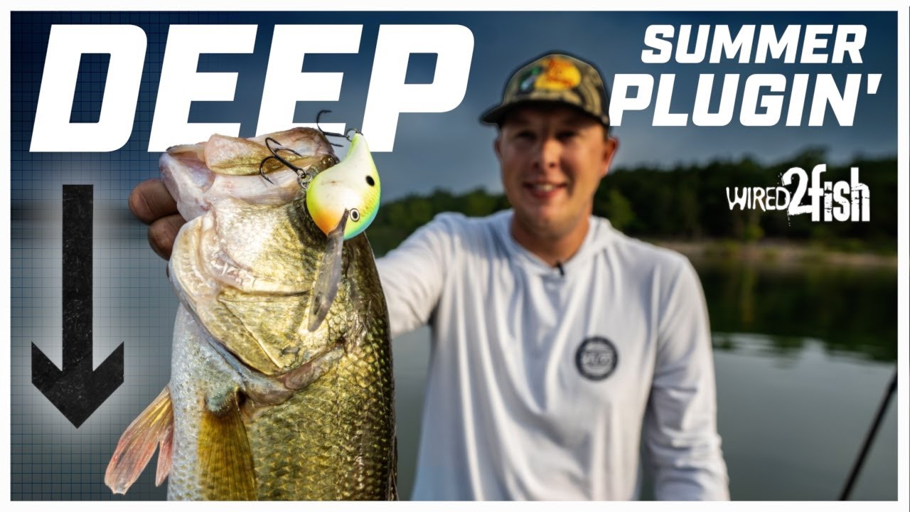 How to Fish Deep Diving Crankbaits for Summer Bass