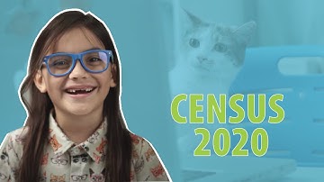 Count Me In with Fox and Frankie // 2020 Census Get Out The Count Video Challenge