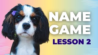 How to Teach Your Puppy Their Name (Week Two): Easy Step-by-Step Puppy Training Tips by Cavalier King Charles Spaniel Tips and Fun 256 views 6 months ago 4 minutes, 37 seconds