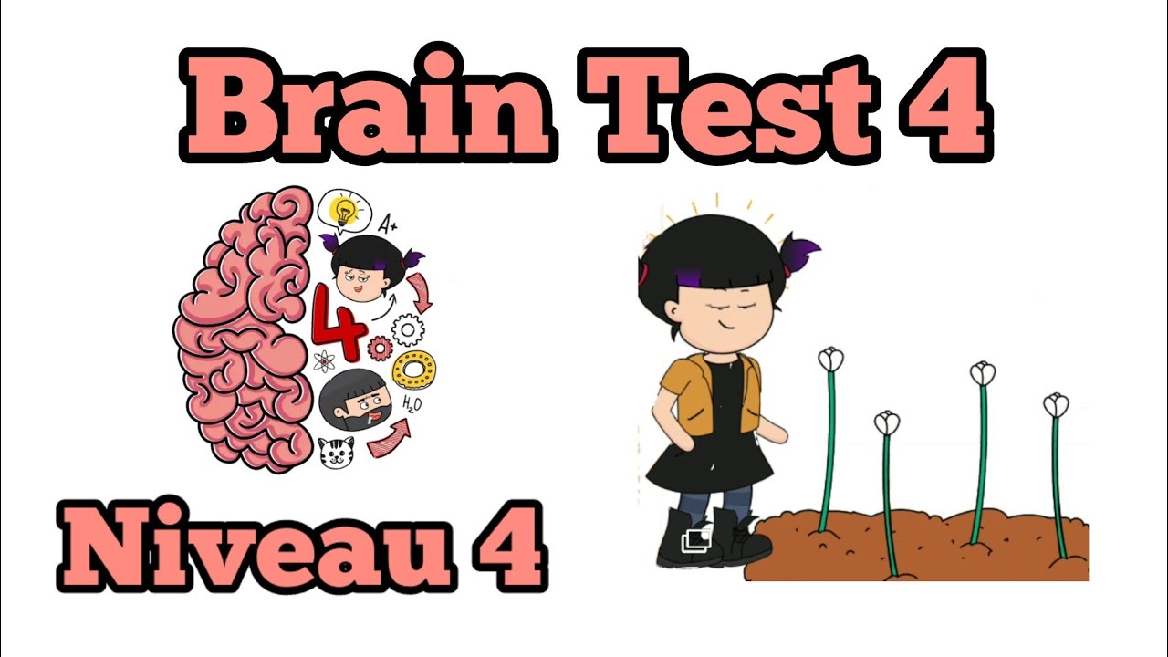Brain Test 4: Tricky Friends - Niveau 4 Francais Solution