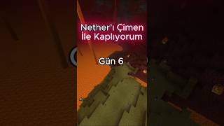Minecraft Nether&#39;ı Yeşillendiriyorum Gün 6 #minecraft #shorts #minecraftama