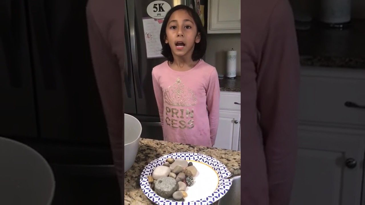 Ameya - Tide Pool Experiment