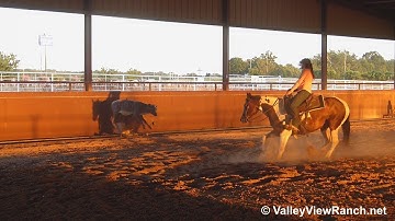 BWR Smart Lil Dottie - working the flag#1! - ValleyViewRanch.net