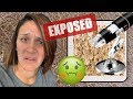 MY SKIN (& MORE) UNDER A MICROSCOPE | *EXPOSED MYSELF*