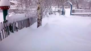 31 марта 2018. Снег 45 см. За ночь. Петропавловский район. Алт. Край