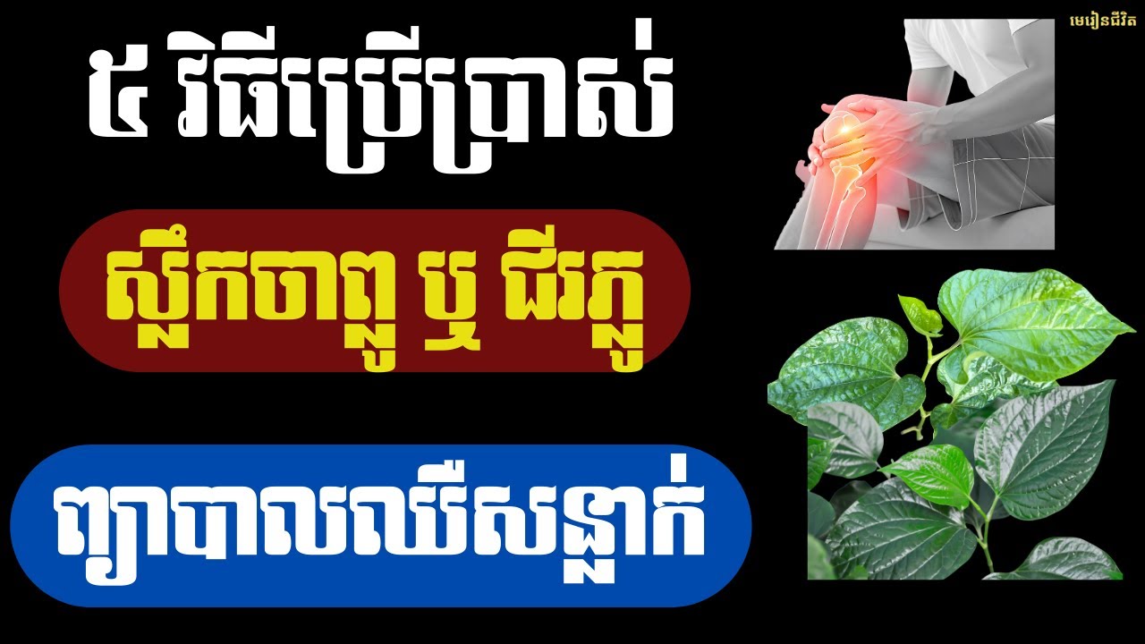 គ្រូពេទ្យពន្យល់ច្បាស់! ស្លឹកចាព្លូព្យាបាលឈឺសន្លាក់ និង ៥ ក្រុមមនុស្សដាច់ខាតមិនត្រូវប្រើ | មេរៀនជីវិត
