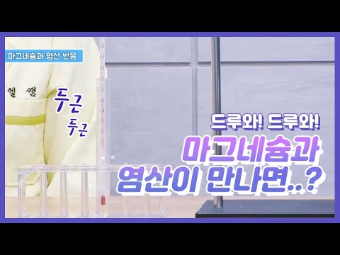 엘쌤's 1분 과학 실험 : 마그네슘과 염산 반응