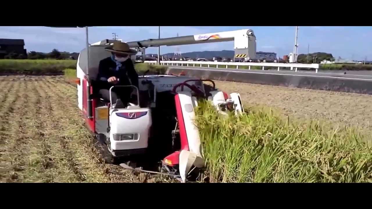 2013年稲刈り ヤンマー アスリートエコ Ee-60 コンバイン - YouTube