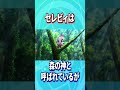 セレビィに関するちょっとした雑学#shorts