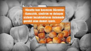 Doğadaki̇ Şi̇fa Findik