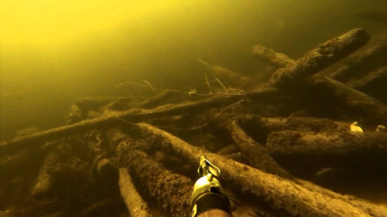 На дне волги астрахань. Дно реки Волга в Саратове. Подводная охота. Бревна на дне реки. Подводный охотник.