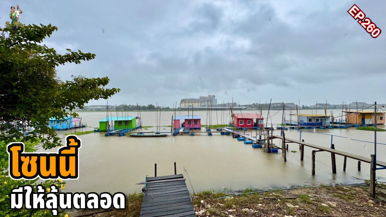 ตกปลาแพแม่น้ำเจ้าพระยา “โซนนี้ มีลุ้นตลอด” น้ำแดงรอบ2 กำลังจะมา