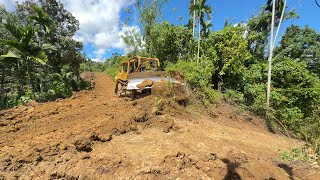 Caterpillar Bulldozer D6R XL Repairs and Repairs Plantation Roads