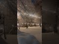 Pure Winter Silence (4 Hours, 4K)