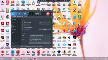 DiskGenius Professional