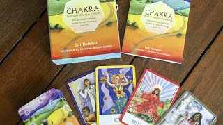 Видео Мудрое решение и итог по Вашей ситуации/чакры-источник мудрости/ (автор: Соната Антано Хан)