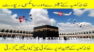 kaaba urdu planes hindi fly birds research scientific why latest jenny