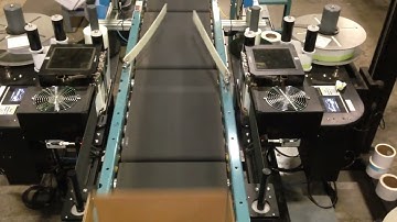 Tandem Swing Arm Applicators Applying Labels to Cases