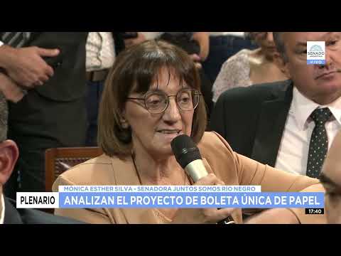 SDORA. MÓNICA ESTHER SILVA - PLENARIO DE JUSTICIA Y AS. CONSTITUCIONALES 03-01-24