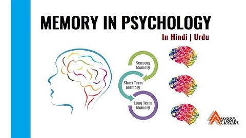 Memory in Psychology | Types of Memory | Hindi | Urdu