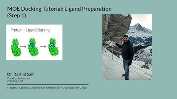 MOE Docking: Ligand Preparation (Step 1)