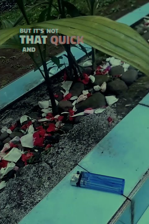 makam korban katak bhizer #short  #katakbhizer