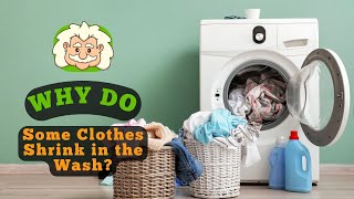 Why Do Some Clothes Shrink in the Wash The Science Behind Laundry Surprises