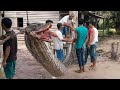 15 World’s Biggest Snakes Ever Found