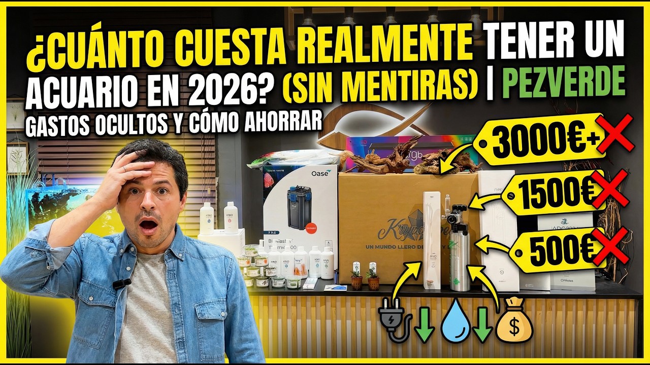 ¿Cuánto cuesta REALMENTE tener un acuario en 2026? (sin mentiras) | PezVerde