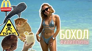 видео: Первое впечатление от Филиппин - все ужасно? Влог с острова Бохол картинка: Первое впечатление от Филиппин - все ужасно? Влог с острова Бохол