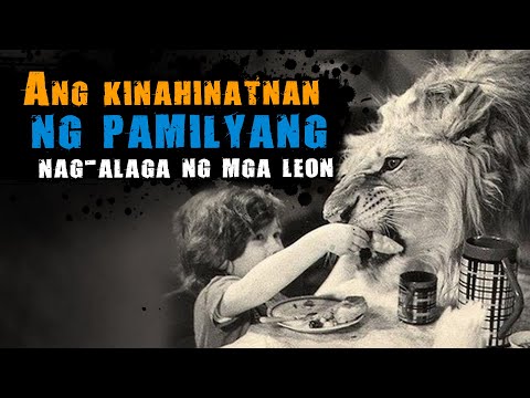 Video: Paano Nabubuhay Ang Pamilya Ng Leon?