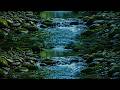 Peaceful Creek at Night | Soft Water Flow Ambience for Sleep, Focus & Stress Relief