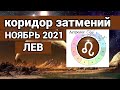 ♌ ЛЕВ ПЕРЕМЕНЫ! КОРИДОР ЗАТМЕНИЙ - гороскоп НОЯБРЬ 2021, Астролог Olga.