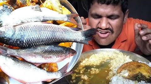 Bihari fish curry || asmr cooking || mukbang fish eating || Bengali fish curry || rohu machali curry